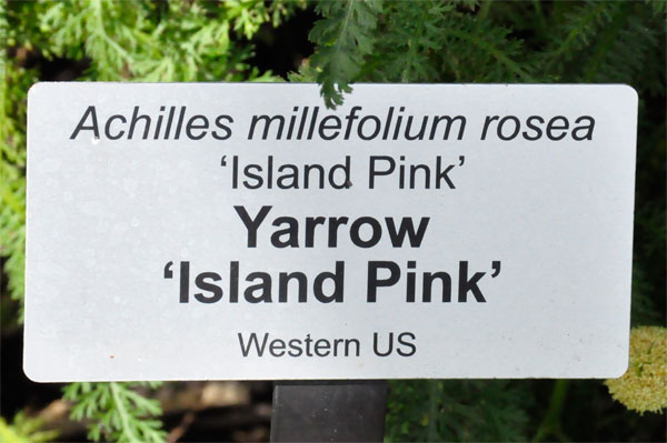 Yarro Island Pink sign